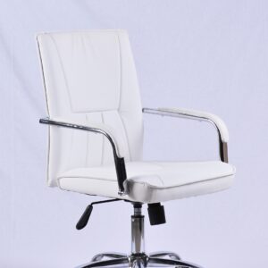 Ofis kreslosu B14