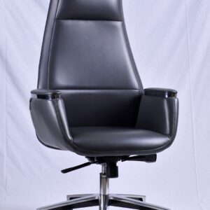 Ofis kreslosu Silver