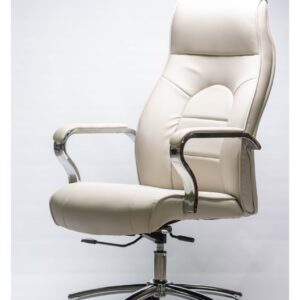 Ofis kreslosu 105