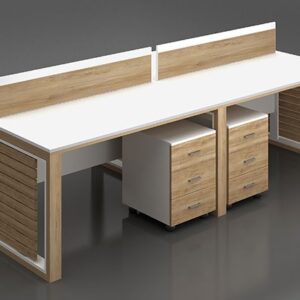 Modul-işçi masası 023